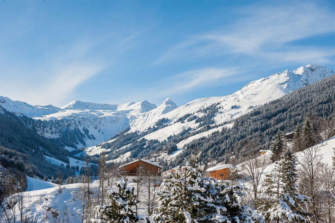 Appartement Berghof Saalbach-Hinterglemm Esterno foto